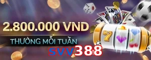 svv388