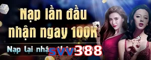 svv388